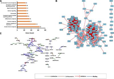 Construction of Unified Human Antimicrobial and Immunomodulatory Peptide Database and Examination of Antimicrobial and Immunomodulatory Peptides in Alzheimer’s Disease Using Network Analysis of Proteomics Datasets